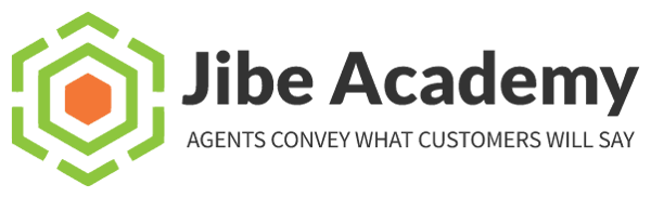 Jibe Academy Main Logo