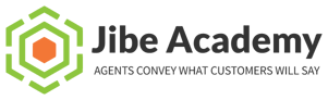 Jibe Academy Main Logo